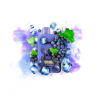 ELF BAR Grape Ice GH23000
