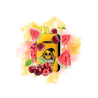ELF BAR Watermelon Cherry GH23000