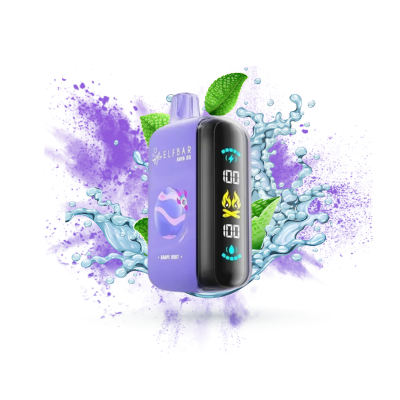ELF BAR Grape Mint RAYA D3 25000