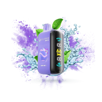 ELF BAR Grape Mint RAYA D3 25000